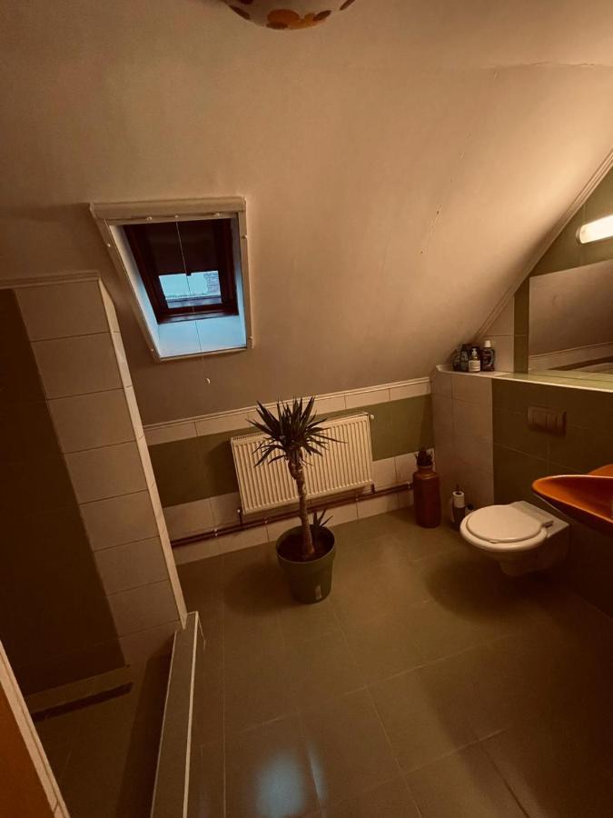 Casa Verde Foeni エクステリア 写真