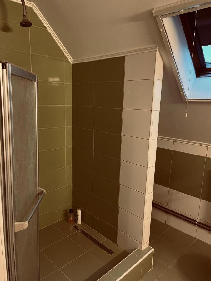 Casa Verde Foeni エクステリア 写真
