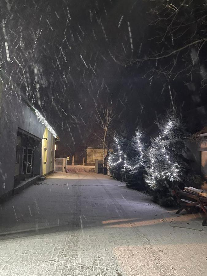 Casa Verde Foeni エクステリア 写真